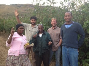 The Alpha Cell group