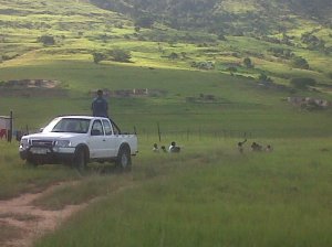 Phumlani Preaching in Cibilili