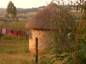 Nice house in Eastmine