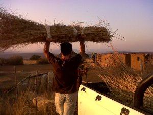 Taking Thatch to Phumlani's uncle