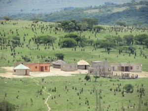 Scenery in Alpha village.