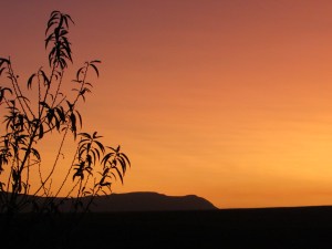 Amazing KZN sunset view from our house.