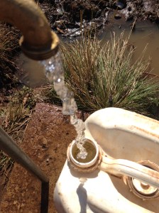 Thank the Lord for access to water