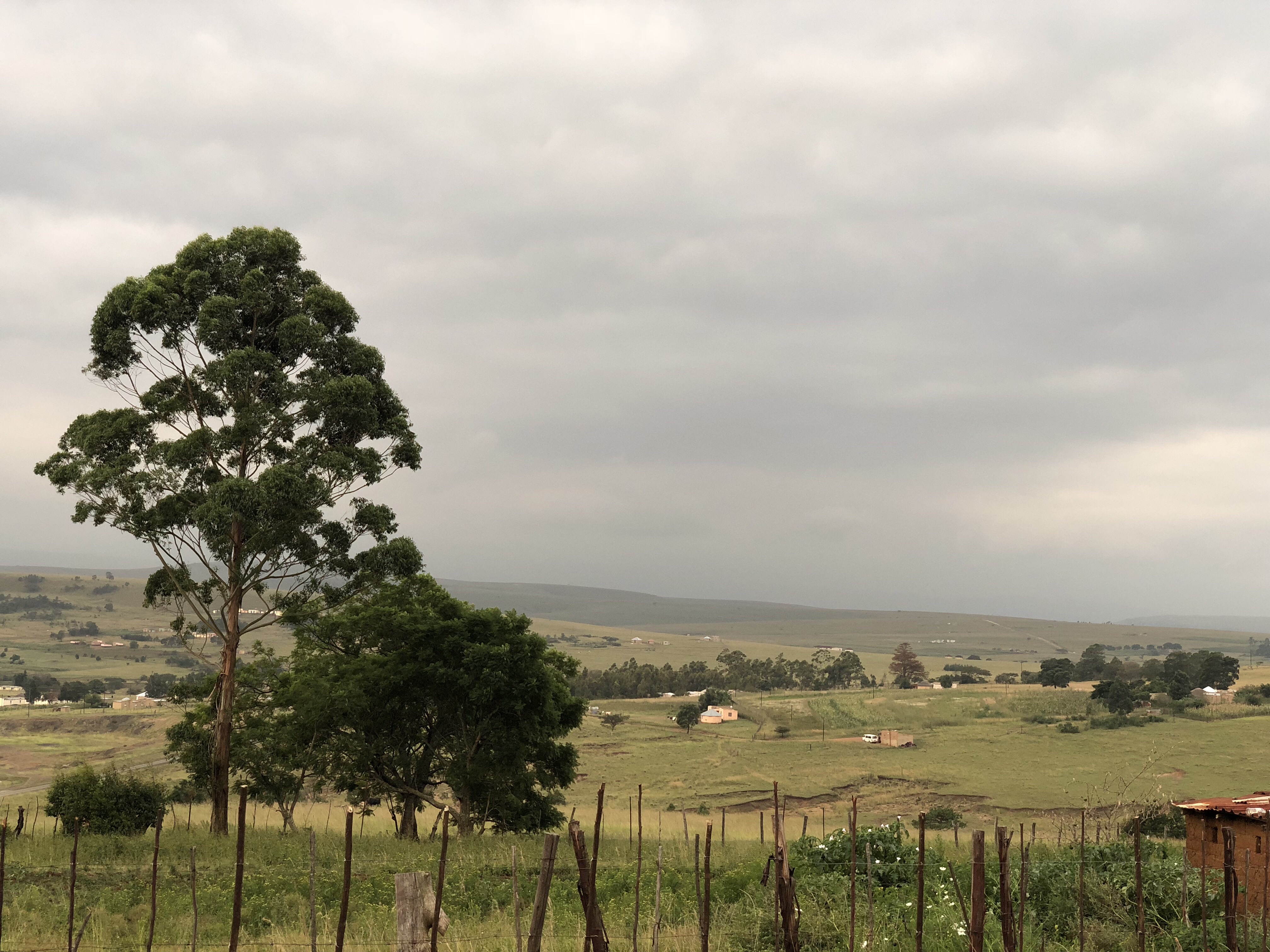 Scenes from Eastmine